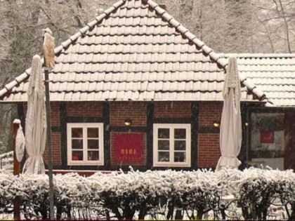 照片: Moma Cafehaus